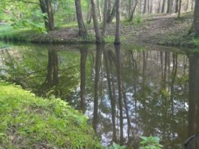 Grzybowo, 3000 m² Działka