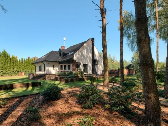 Grzybobranie 324 m², Borówiec