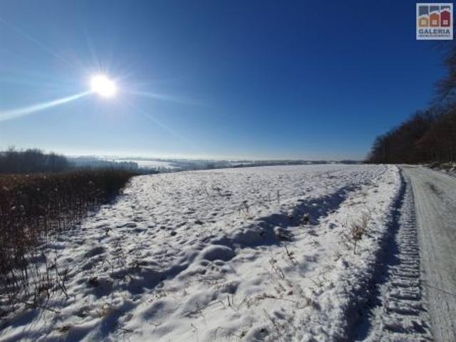 Grzegorzówka, 5600 m² Działka