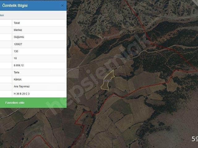 GÜĞÜMLÜ KÖYÜNDE 8059 m CEVİZ AĞACI OLAN SATILIK TARLA