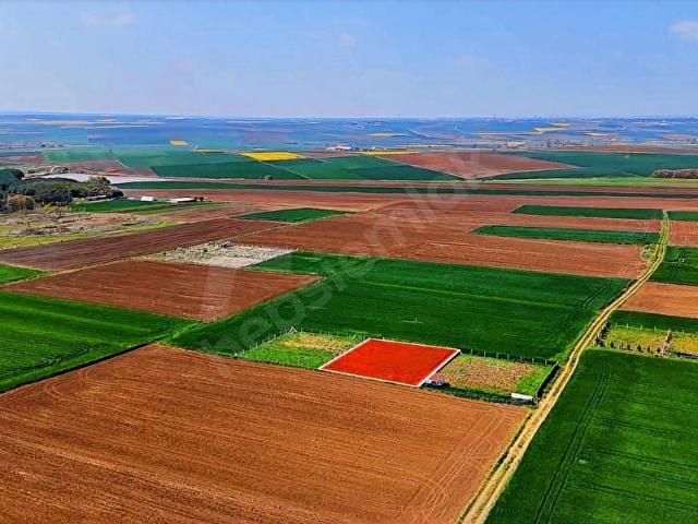 GÜMÜŞYAKA'DA SATILIK TARLADAN HİSSE HOBİ BAHÇESİ