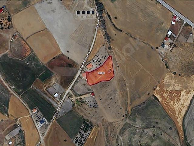 GÜMÜŞYAYLA MAH'DE 2.5 DÖNÜM TEK TAPU SATILIK TARLA