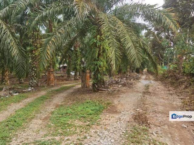 Gunung Pulai Resort & Agricultural Land For Sale