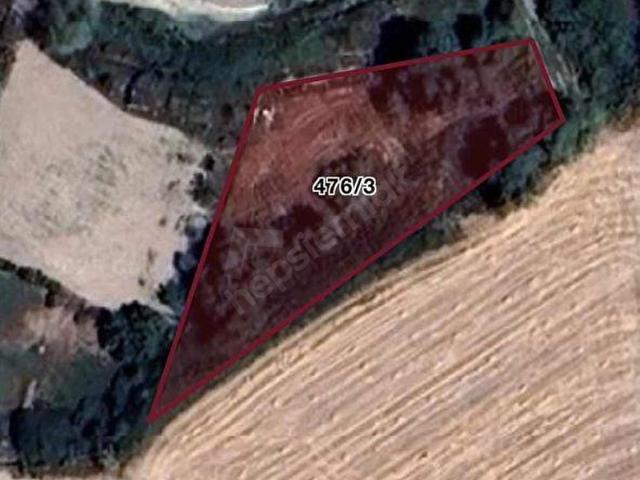GÜNEYCE'DE TEK TAPU 1237 M2 DERE KENARI ARSA TEL ÖRGÜ MEVCUT