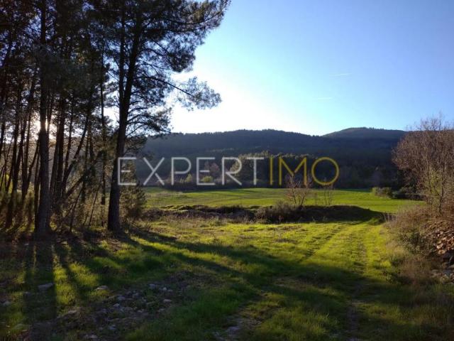 Guarda Guarda LS94991243