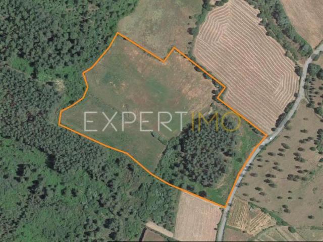 Guarda Guarda LS94991244