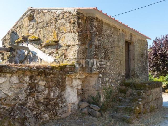 Guarda Guarda 101309845
