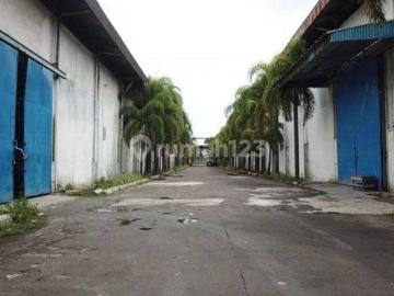 Gudang disewa di Cikande, Serang