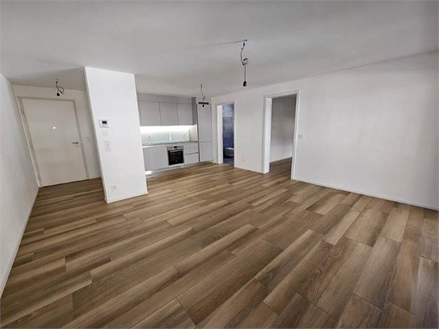 Gudo, affitto 2.5 locali con terrazzo