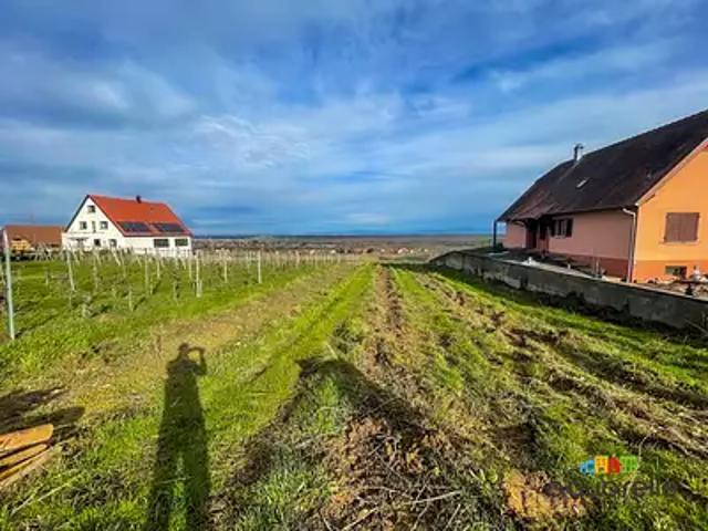 Gueberschwihr 68420 Achat / Vente terrain