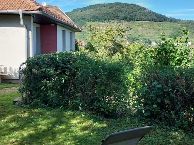 Guebwiller Vente Maison 68