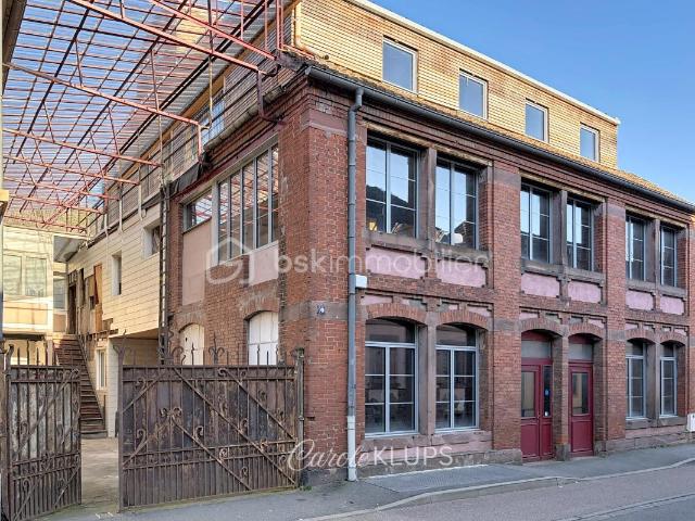Guebwiller Vente Immeuble 68