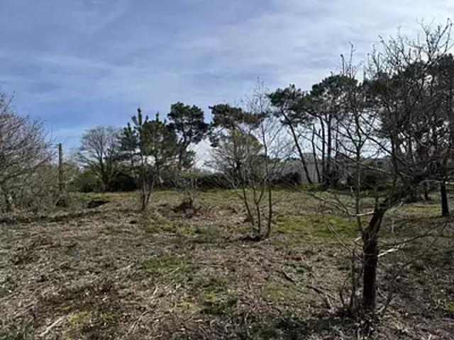 Guémené Penfao 44290 Achat / Vente terrain