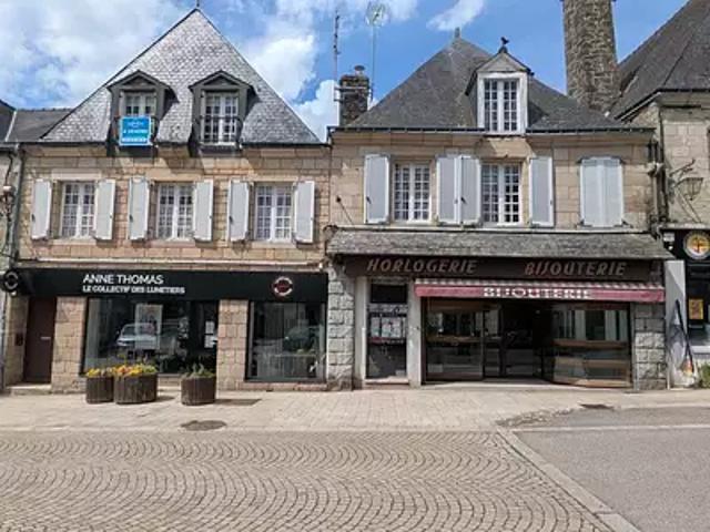 Guémené sur Scorff 56160 Achat / Vente immeuble