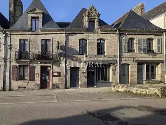 Guémené sur Scorff 56160 Achat / Vente maison 14 pièces t14