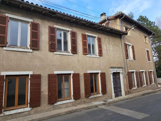 Guéreins Vente Immeuble 01