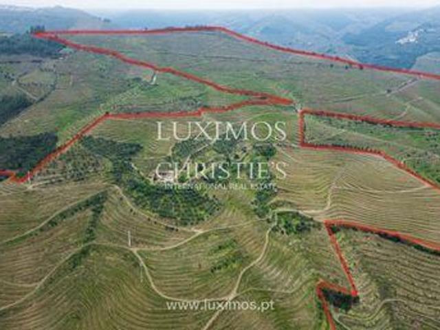 Guiães VILA REAL 96310204