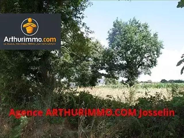 Guillac 56800 Achat / Vente terrain