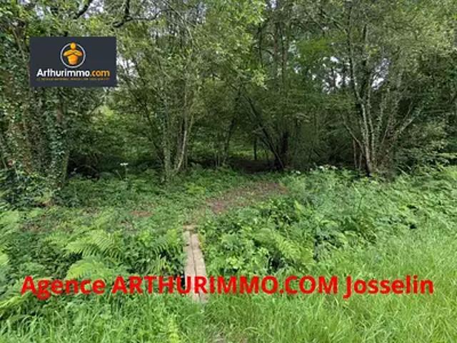 Guillac 56800 Achat / Vente terrain