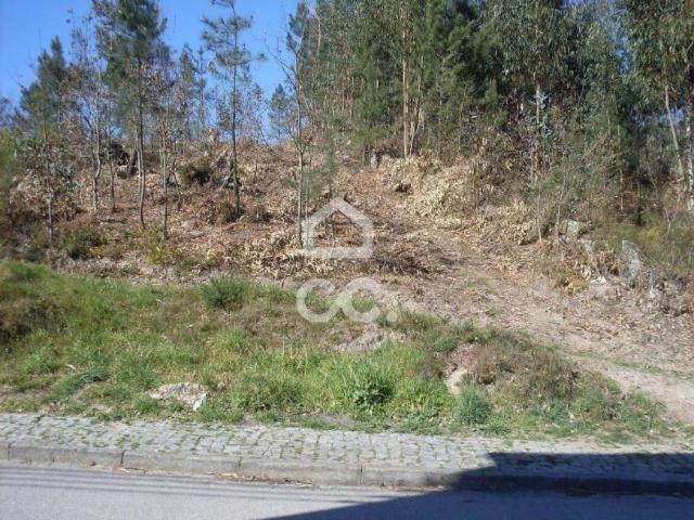 Guimarães Braga 79073836