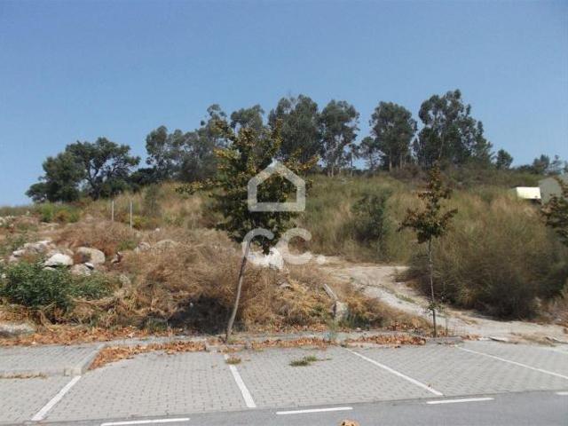 Guimarães Braga 79073843