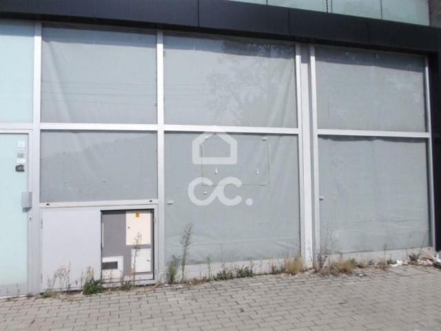 Guimarães Braga 79073844