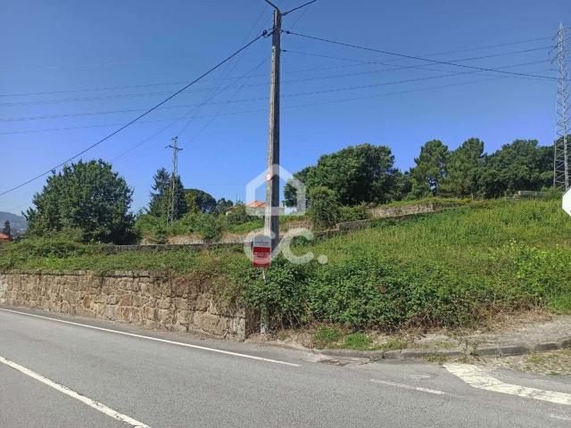 Guimarães Braga 79074182