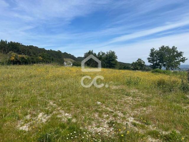 Guimarães Braga 90975169