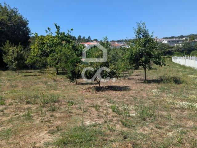 Guimarães Braga 92901474