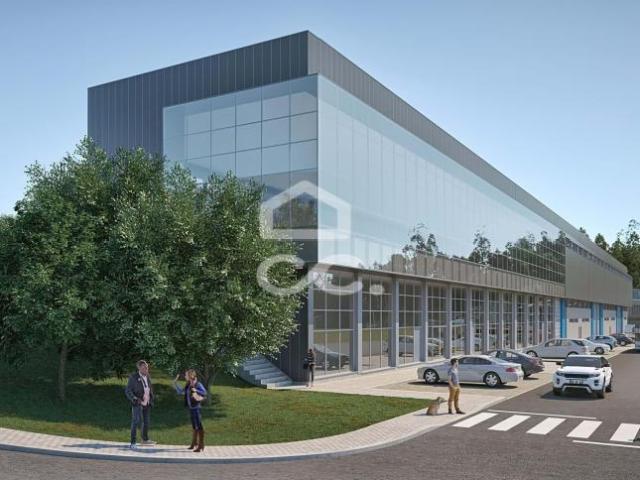 Guimarães Braga 98960935