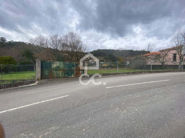 Guimarães Braga 98065470
