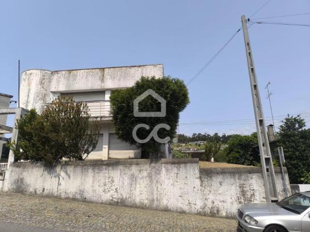 Guimarães Braga 99512686