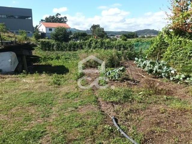 Guimarães Braga LS83126728