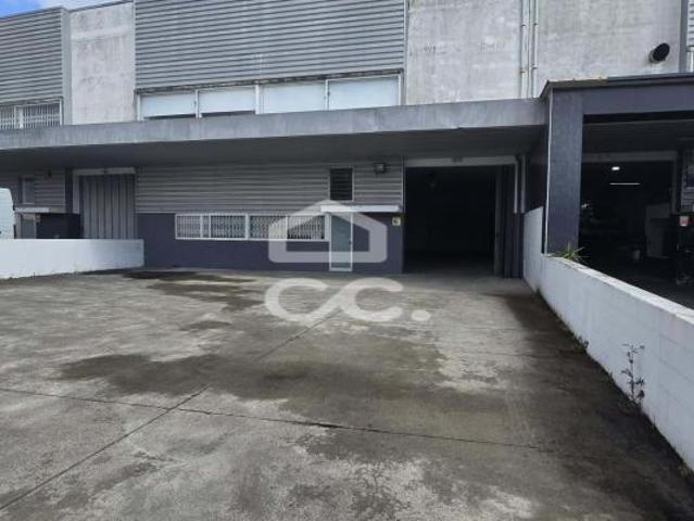 Guimarães Braga LS102554609