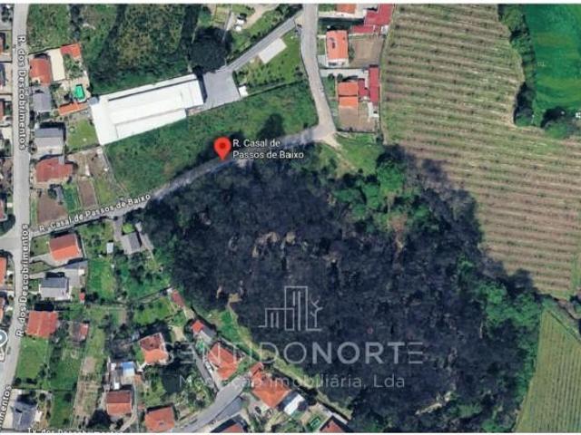 Guimarães Guimarães LS95264571