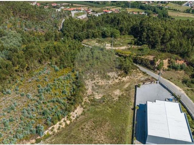 Guimarães Guimarães 102572902