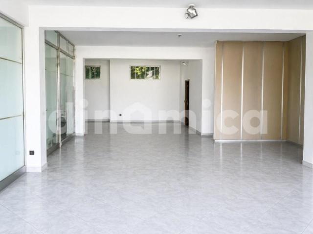 Guimarães Guimarães 102526774