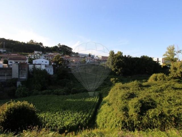 Guimarães Guimarães 102926121