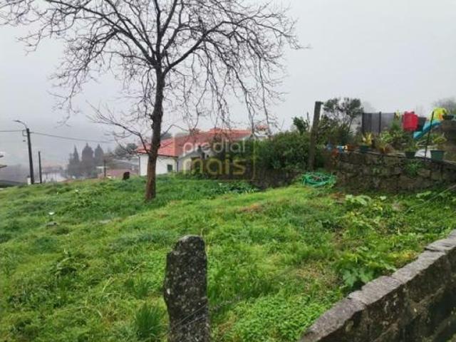 Guimarães Guimarães 87039372