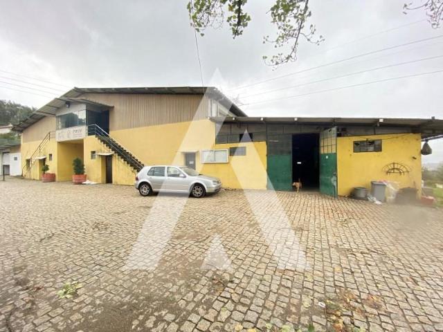 Guimarães Guimarães 97120851