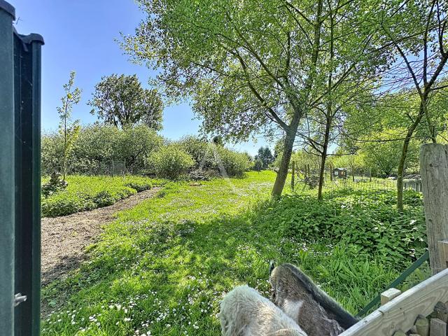 Guînes Vente Terrain 62