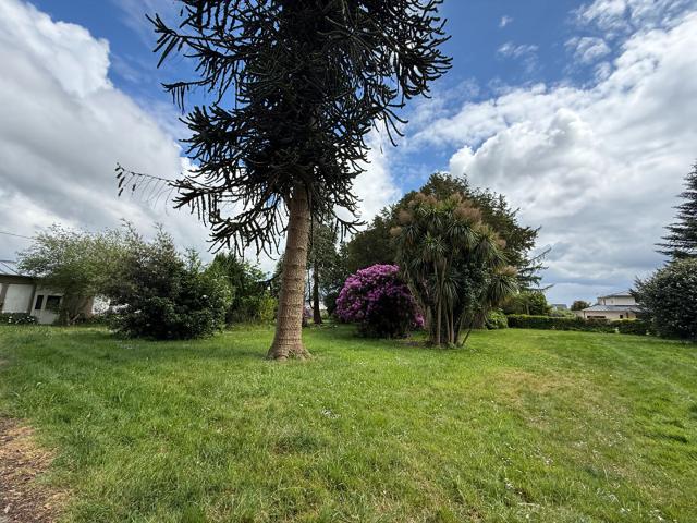Guipavas dans un parc boisé