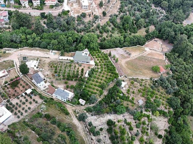 GUJAN CEYHAN'DAN ÇAĞLARCA MERKEZDE SATILIK 2409 M TARLA