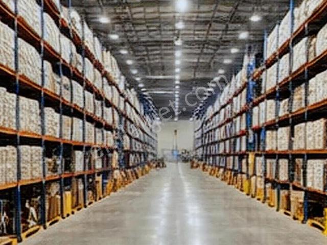Gül Demirelden Tuzlada 25.000 M² Raflı Hazır Lojistik Depo