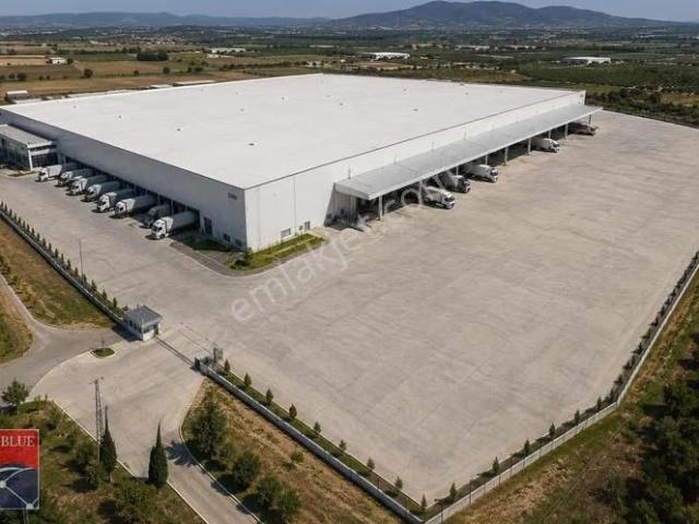Gül Demirelden İzmir'de 35.000 M² Kiralık Depo
