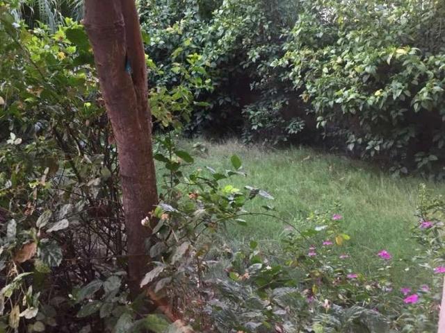 Gulberg A1, near MM Alam road, plot for sale, prime location of lahore Gulberg 3 ID 15254