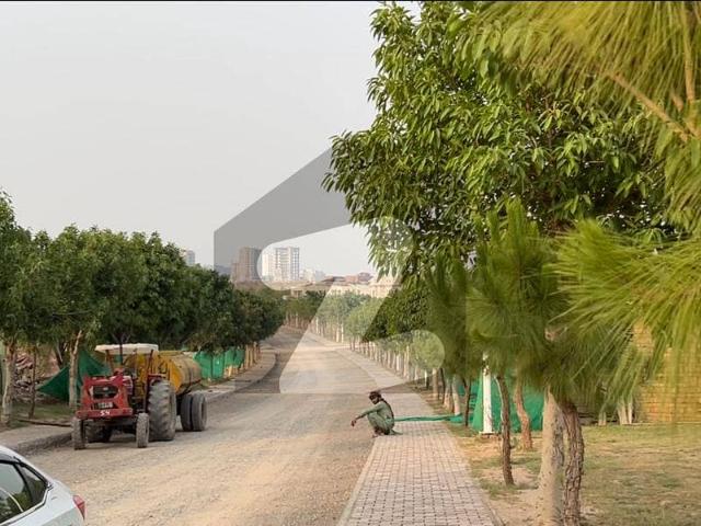 Gulberg Green block B 04Kanal Pine Avenue Developed Possession Solid Land Ready To Construct Plot available For sale