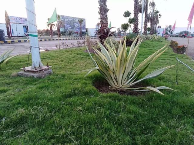Gulberg green Islamabad Gulberg Residencia ID 38060