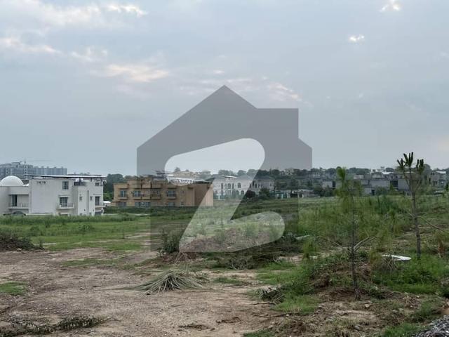 Gulberg Green 50x50 D Markaz Commercial Plot Available For Sale At Investor Price