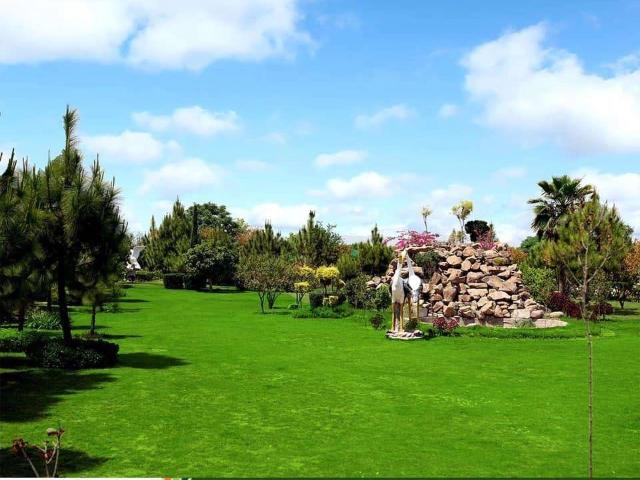 Gulberg islamabad Block V 7 marla develop plot Islamabad Gulberg Residencia ID 29255